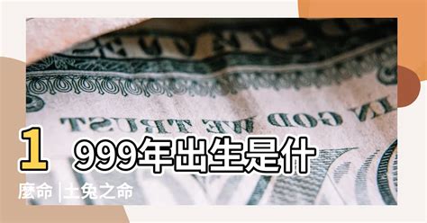 1995年屬|1995年出生是什麼命？